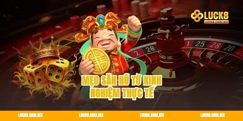 Mẹo Săn Hũ Từ Kinh Nghiệm Thực Tế